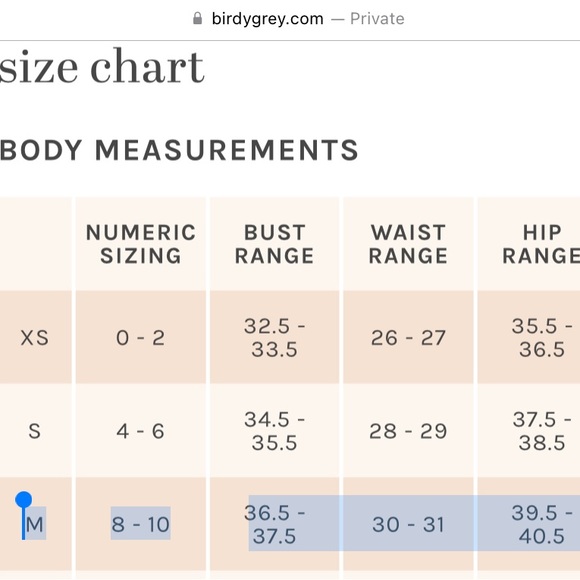 Birdy Grey Theresa Chiffon Bridesmaid Dress - Sage (hemmed; has pockets) - Picture 8 of 16